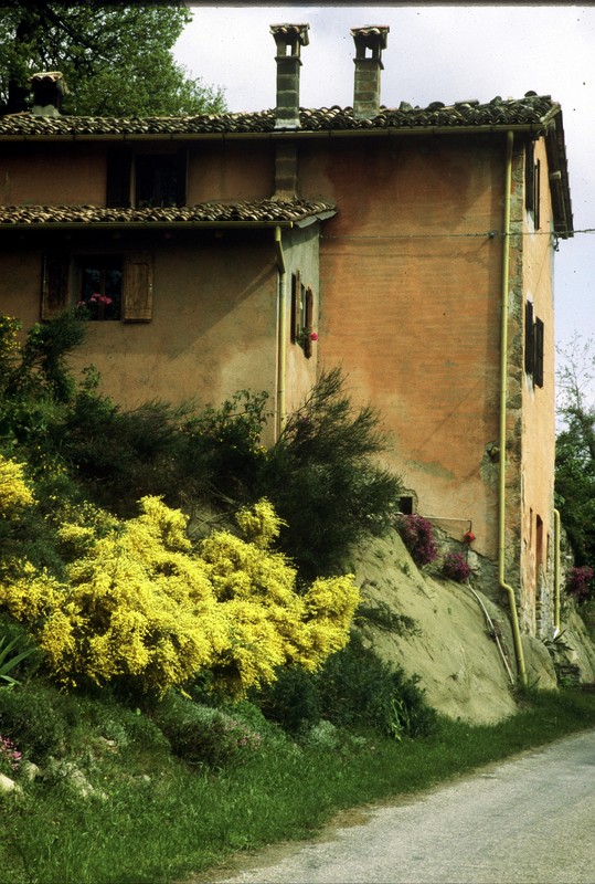 Autosave-File vom d-lab2/3 der AgfaPhoto GmbH