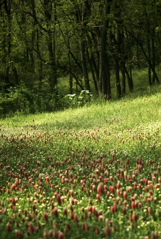 Autosave-File vom d-lab2/3 der AgfaPhoto GmbH