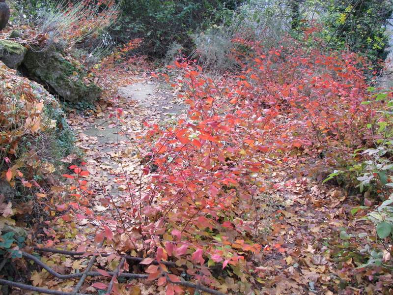 2011 dicembre fotodiario4