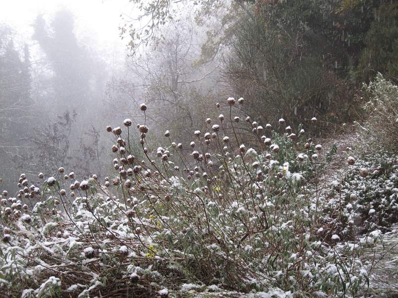 2011 gennaio fotodiario1