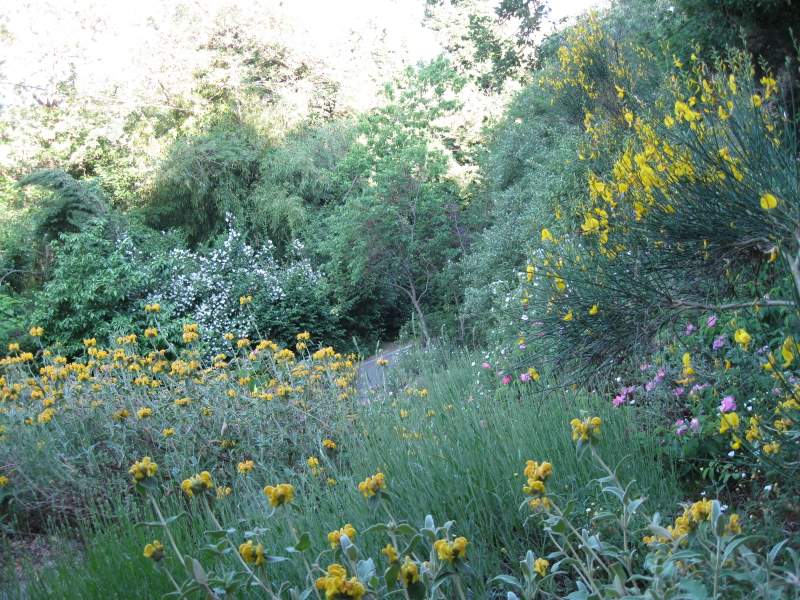 2011 giugno fotodiario1