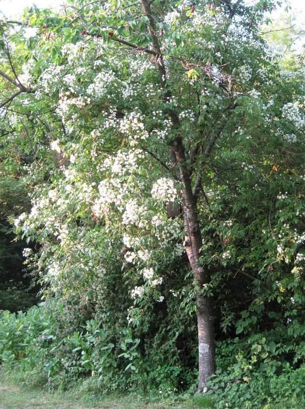 2011 giugno fotodiario3