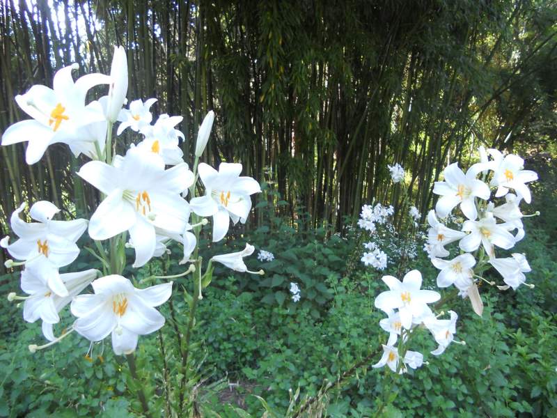 2011 giugno fotodiario7