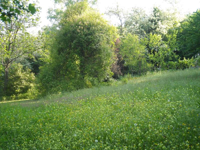 2011 maggio fotodiario2