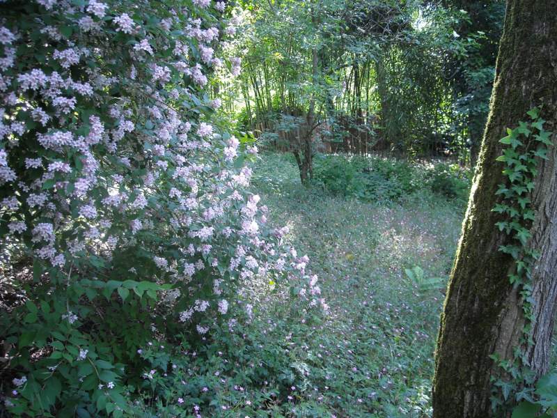 2011 maggio fotodiario4