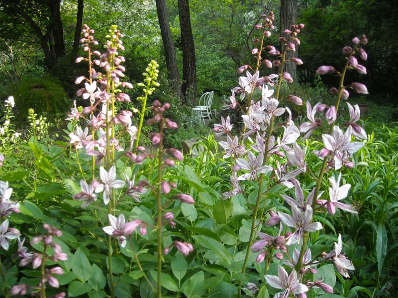 2011 maggio fotodiario7