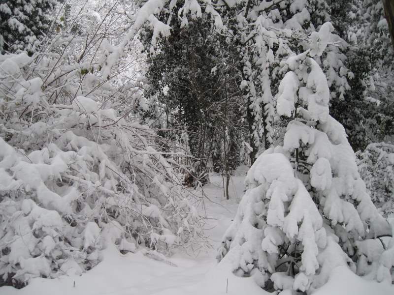 2011 marzo fotodiario2