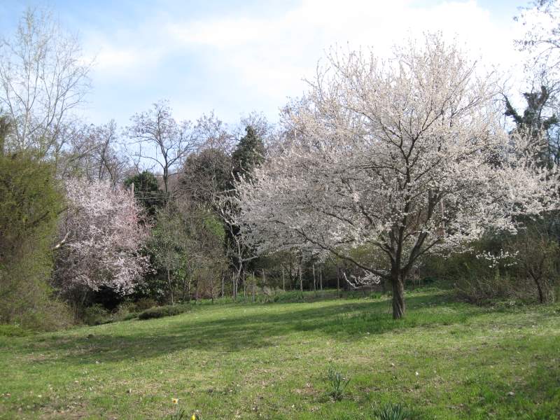 2011 marzo fotodiario6