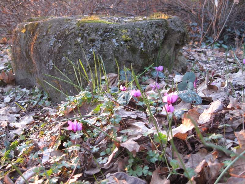 2011 marzo fotodiario8