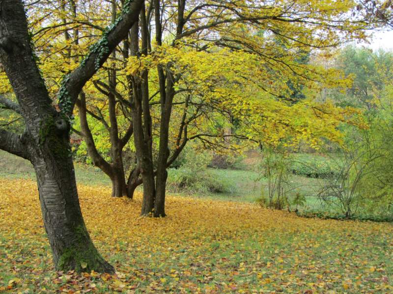 2011 novembre fotodiario1