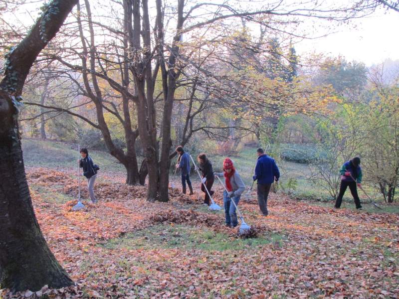 2011 novembre fotodiario8