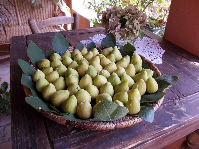 2011 settembre fotodiario2