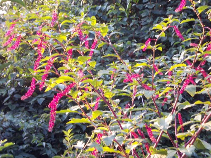 2011 settembre fotodiario5