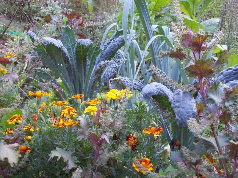 2011 settembre fotodiario7