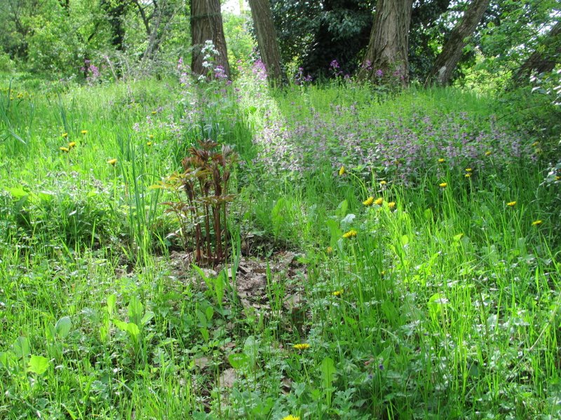 2012 aprile fotodiario2