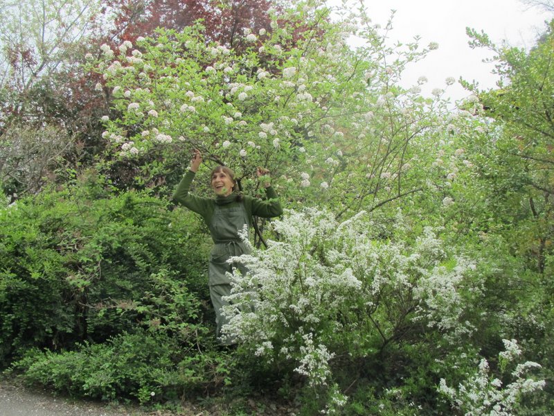 2012 aprile fotodiario6