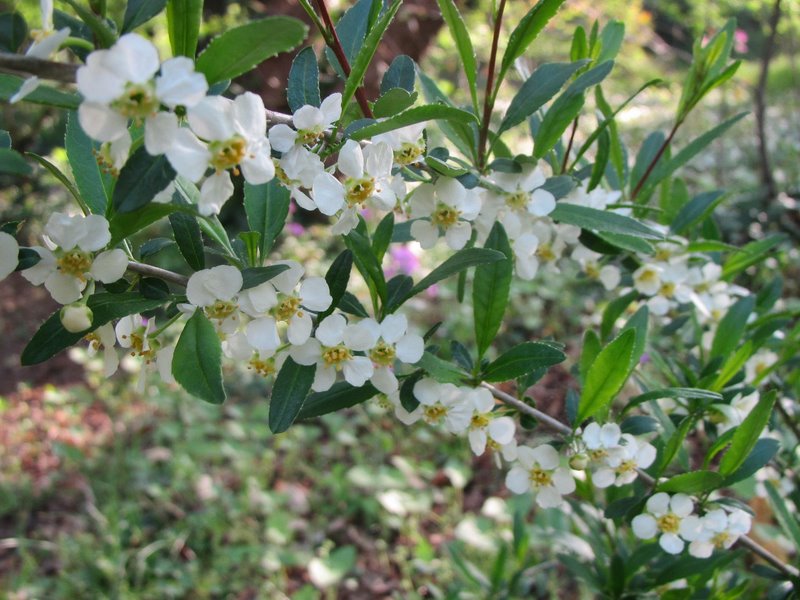 2012 aprile fotodiario8