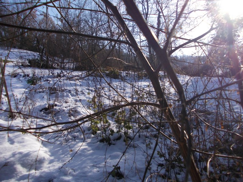 2012 dicembre fotodiario1