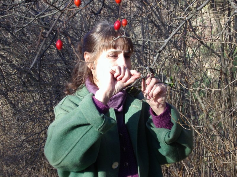 2012 dicembre fotodiario7