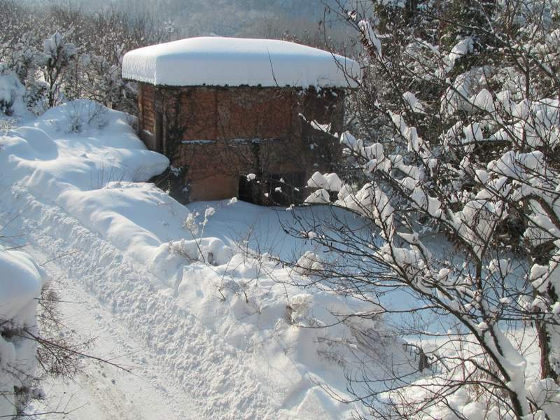 2012 febbraio fotodiario1