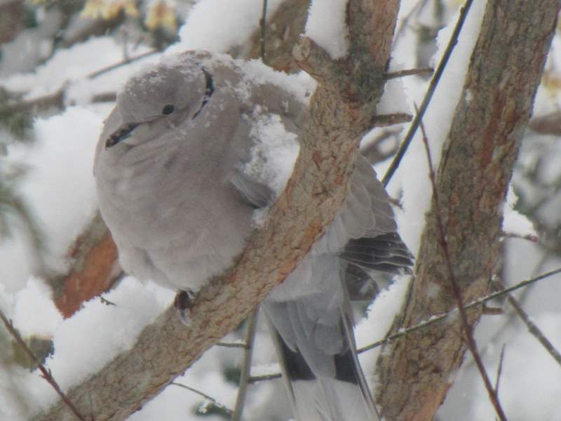 2012 febbraio fotodiario3