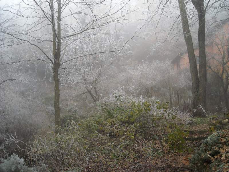 2012 gennaio fotodiario1