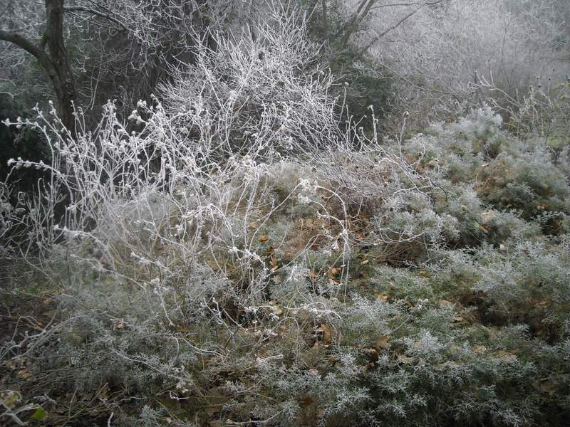 2012 gennaio fotodiario2