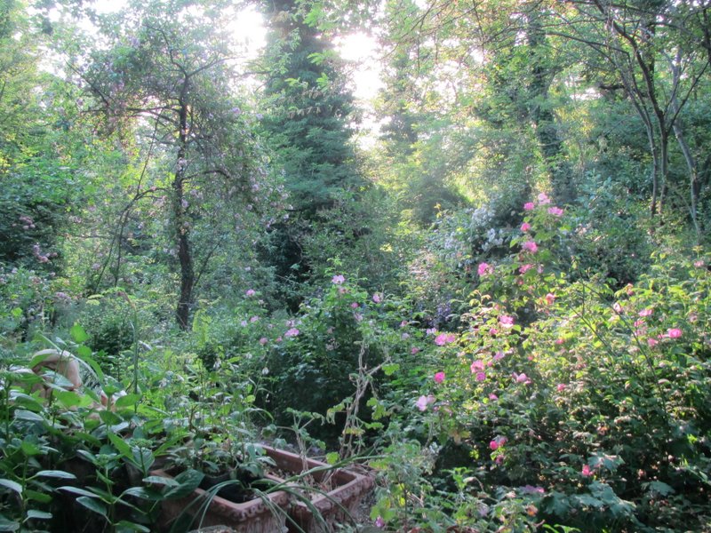 2012 giugno fotodiario1