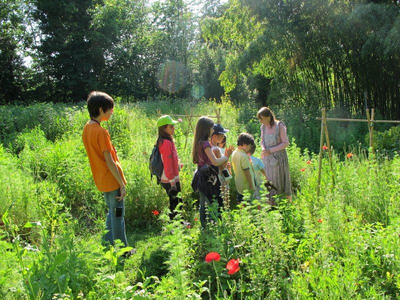 2012 giugno fotodiario3