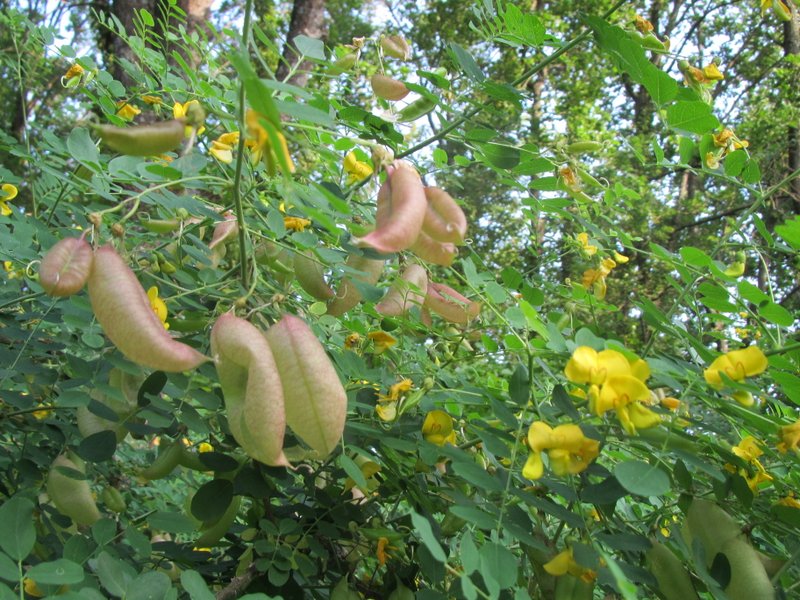 2012 giugno fotodiario4