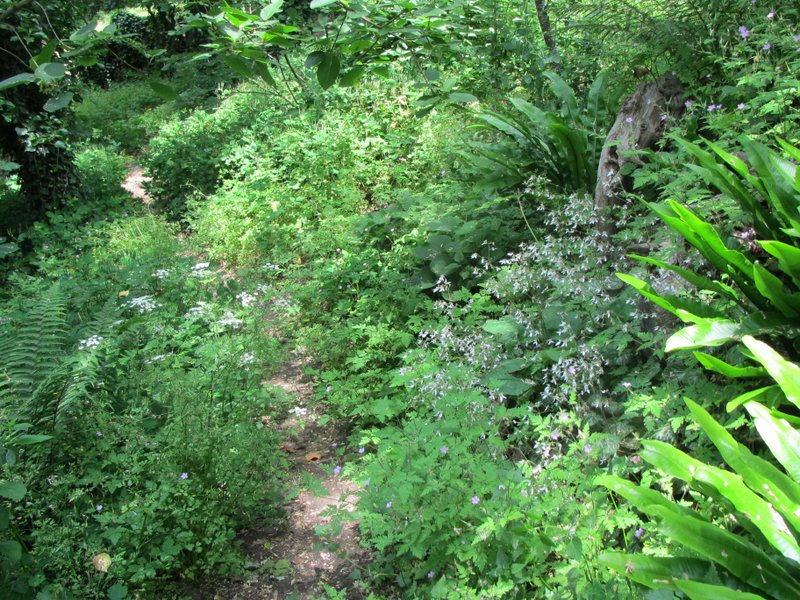 2012 giugno fotodiario6