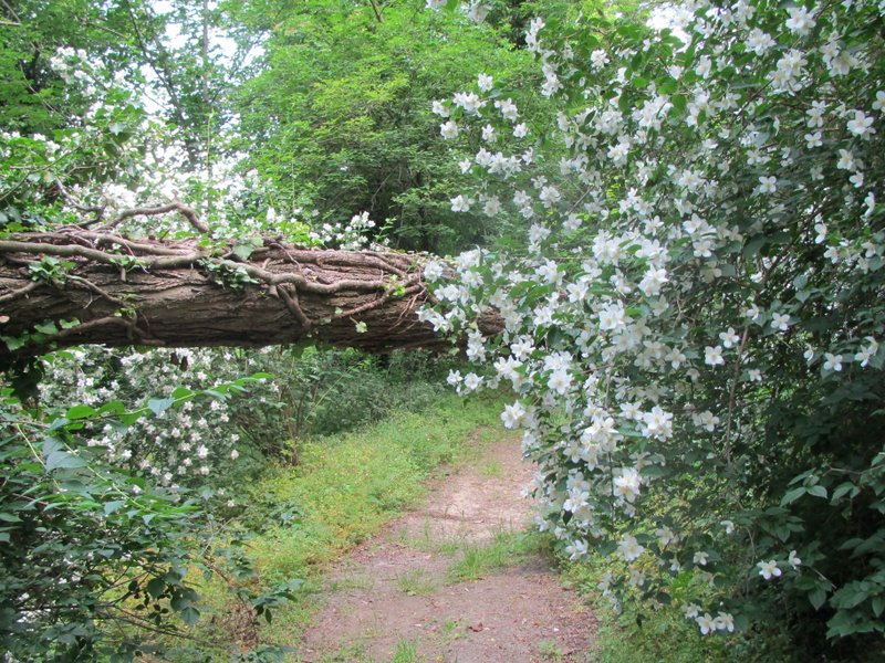 2012 giugno fotodiario8