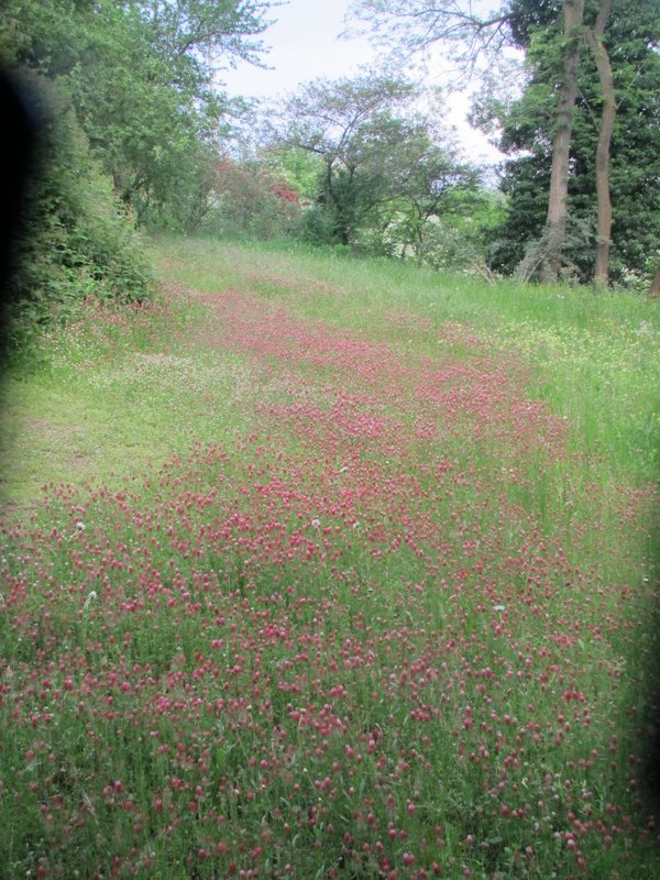 2012 maggio fotodiario1