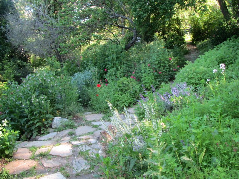 2012 maggio fotodiario4