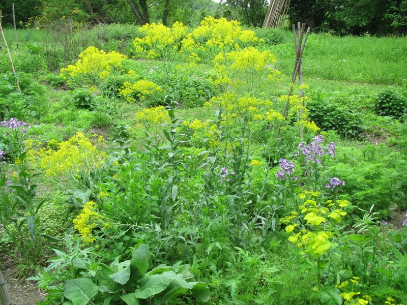 2012 maggio fotodiario6