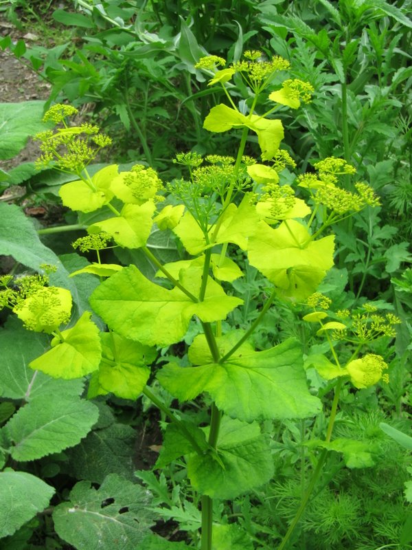 2012 maggio fotodiario7