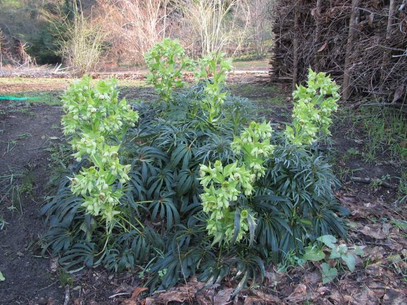 2012 marzo fotodiario4