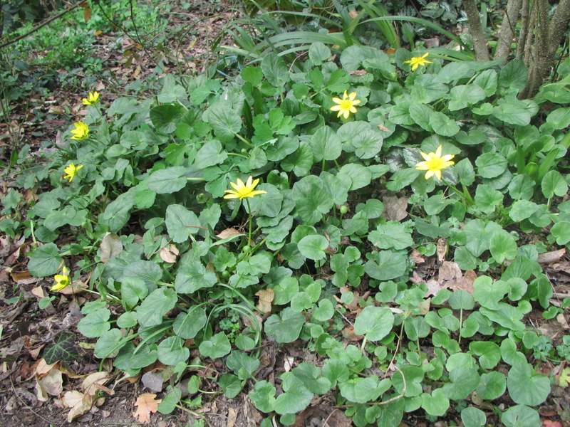 2012 marzo fotodiario6