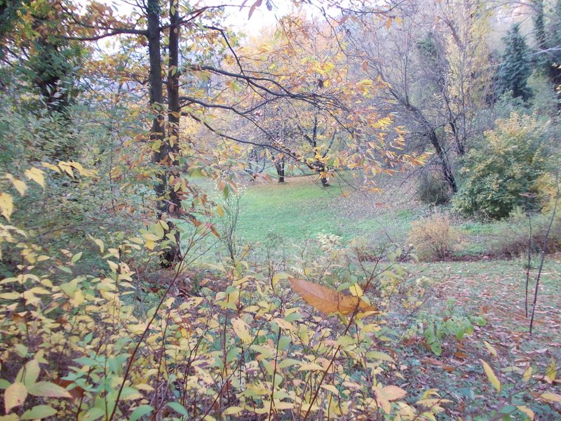 2012 novembre fotodiario1