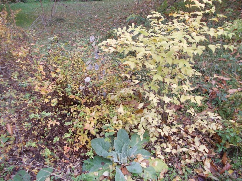 2012 novembre fotodiario2