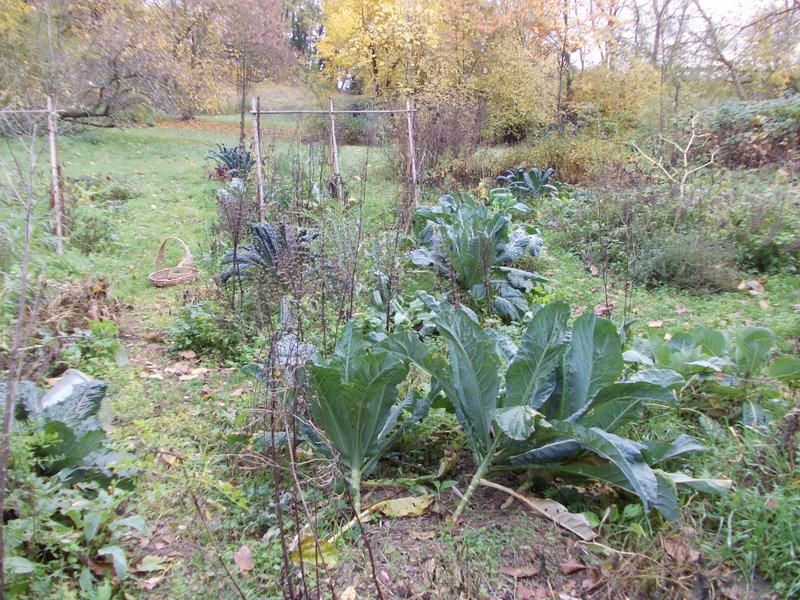 2012 novembre fotodiario6