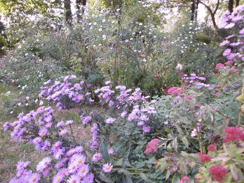 2012 ottobre fotodiario1