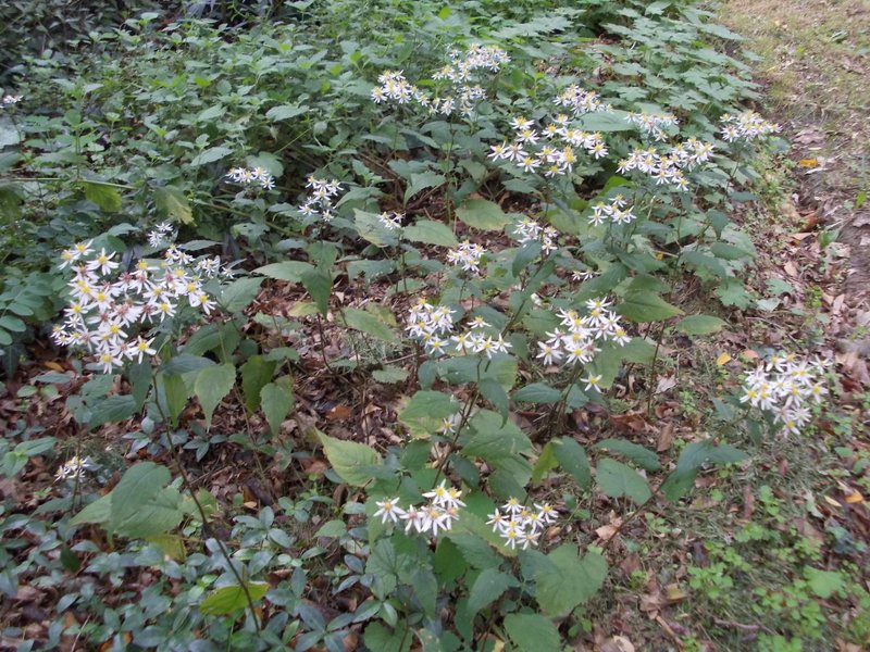 2012 ottobre fotodiario3