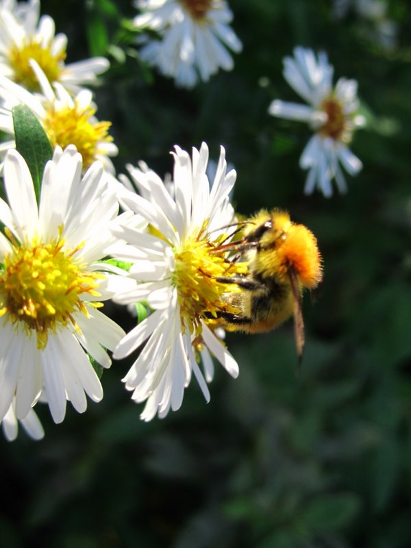 2012 ottobre fotodiario4