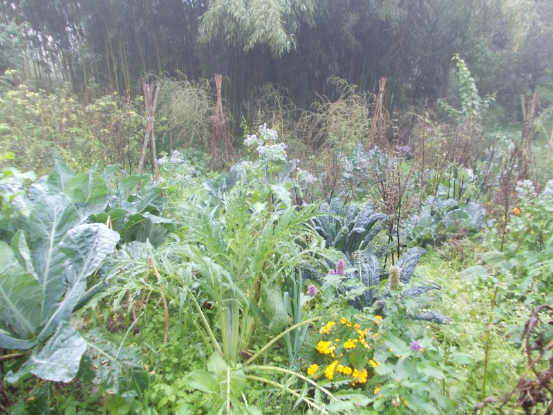 2012 ottobre fotodiario6