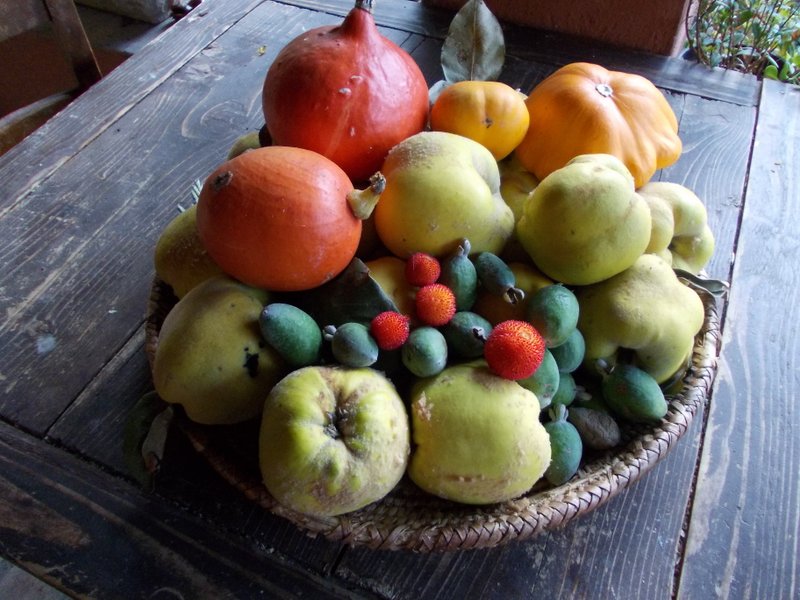 2012 ottobre fotodiario8