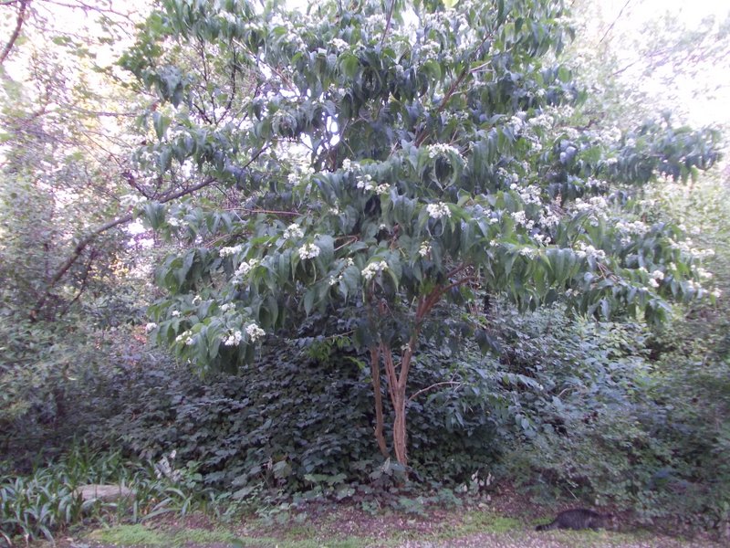 2012 settembre fotodiario1