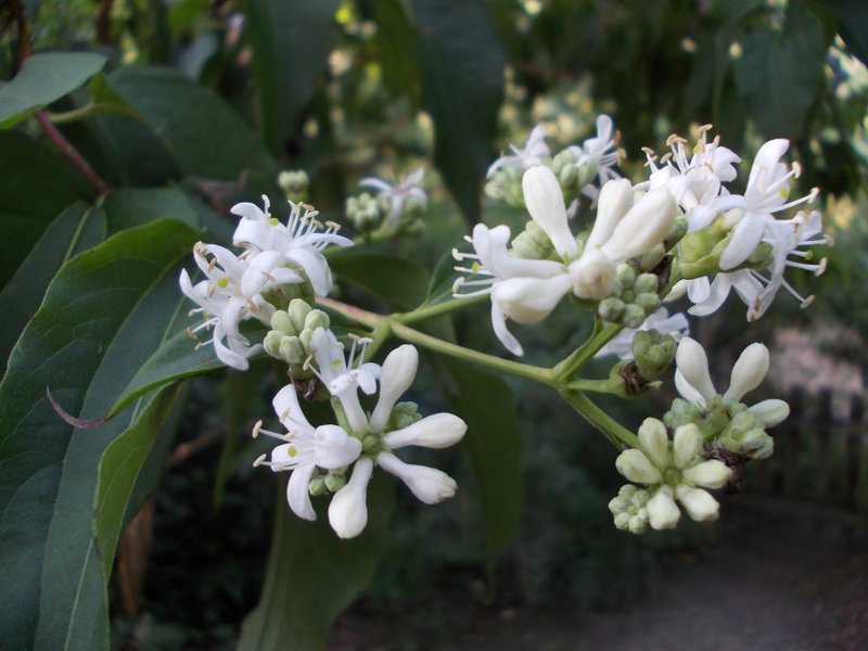 2012 settembre fotodiario2