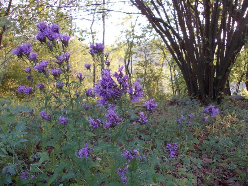 2012 settembre fotodiario3