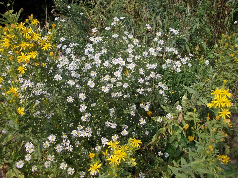 2012 settembre fotodiario4